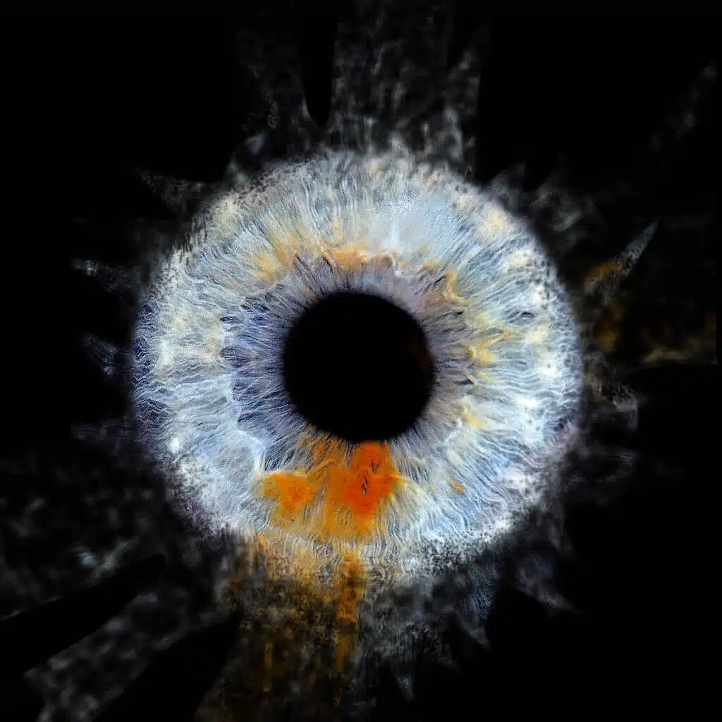 oeil-foto1 Attention : Nouvelle Adresse !